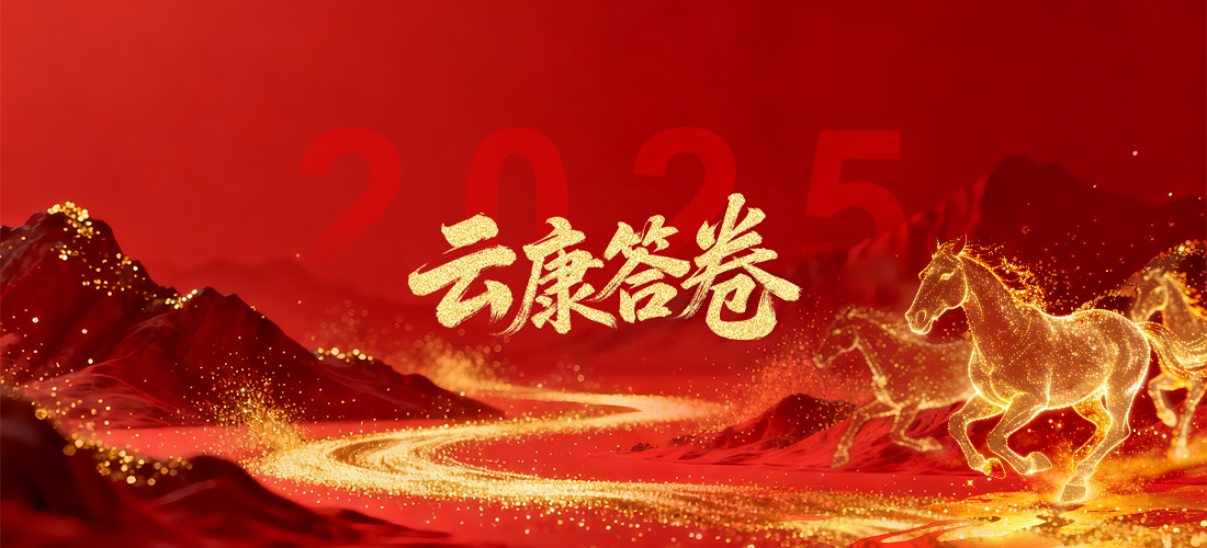 从蛇行蓄力，到奔骉磅礴——云康2025答卷